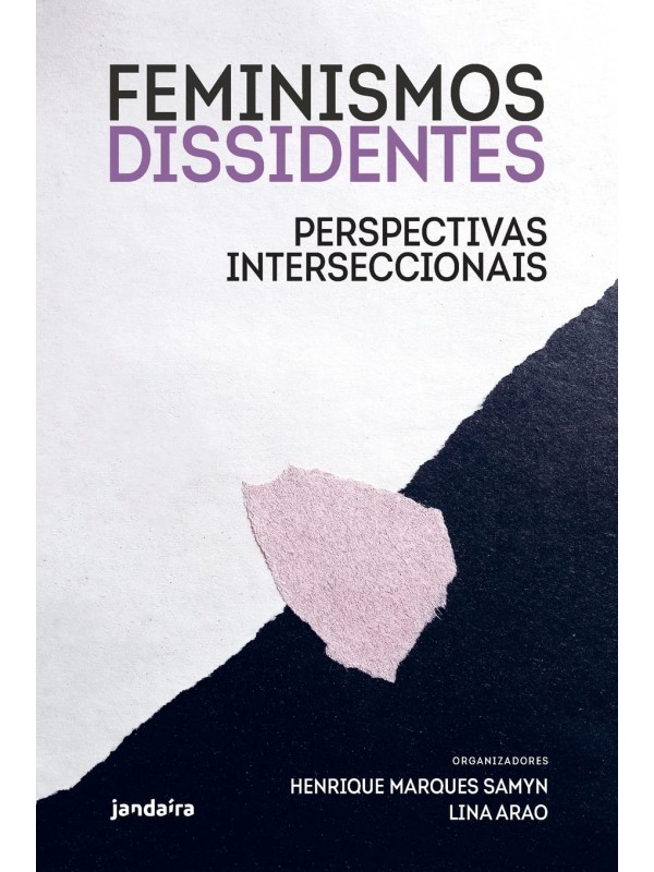 Feminismos Dissidentes - Perspectivas Interseccionais